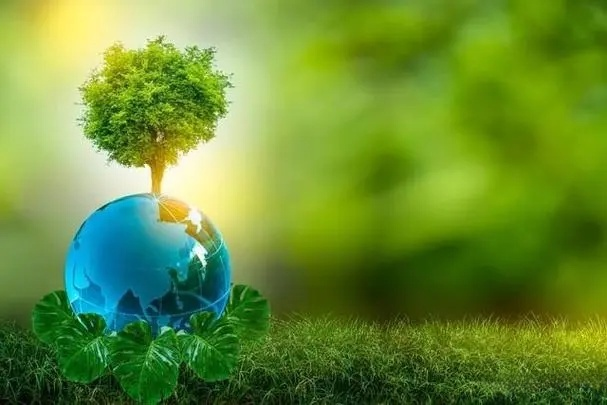 解鎖EPS回收的潛力，助力可持續未來：EPS壓實機