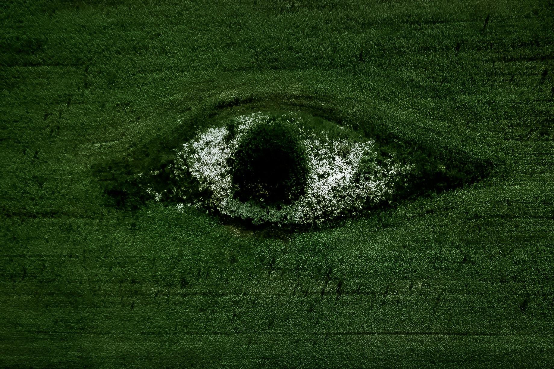 聚苯乙烯廢棄物回收：從污染到循環解決方案，EPS壓實機